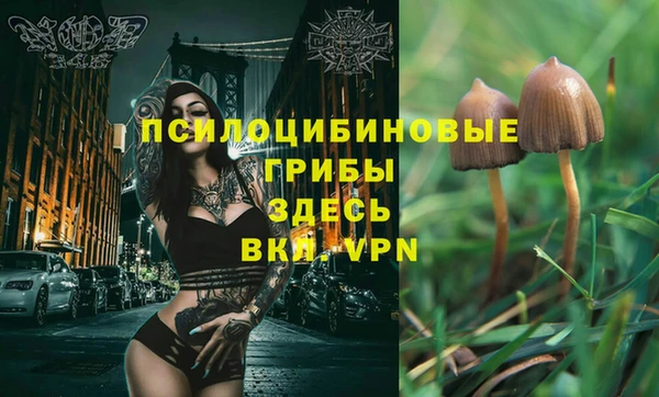 Альфа ПВП Нефтекумск