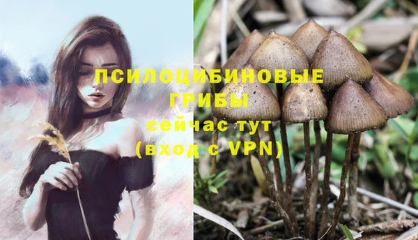 apvp Нефтегорск