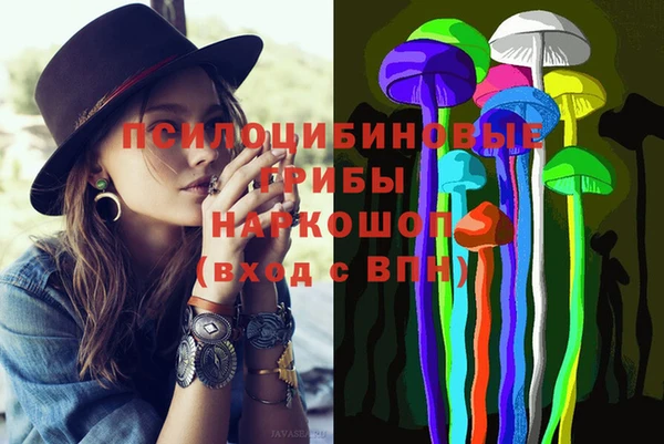 Альфа ПВП Нефтекумск