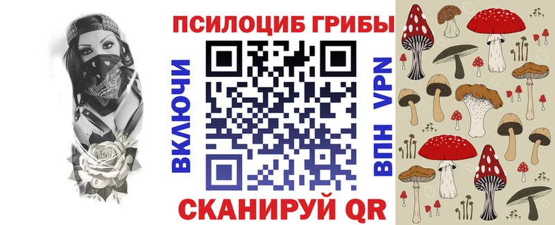 hydra Козельск Псилоцибиновые грибы прущие грибы