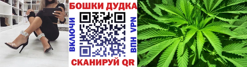 Бошки марихуана OG Kush  MEGA вход  Козельск  продажа наркотиков 